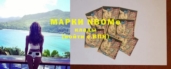 амф Верхний Тагил