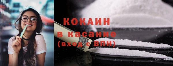 бошки Бородино