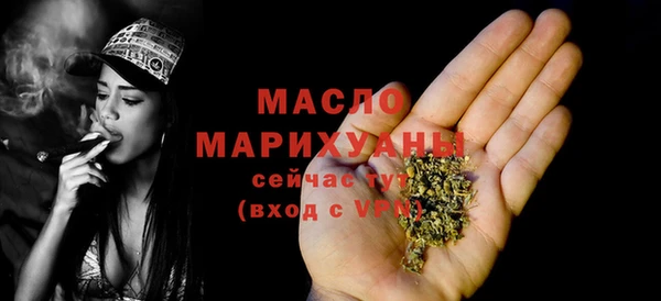 амф Верхний Тагил