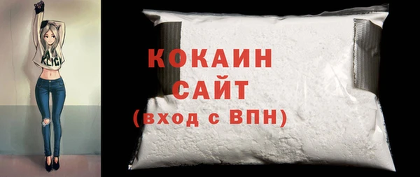 амф Верхний Тагил