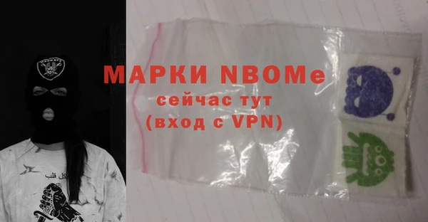 амф Верхний Тагил
