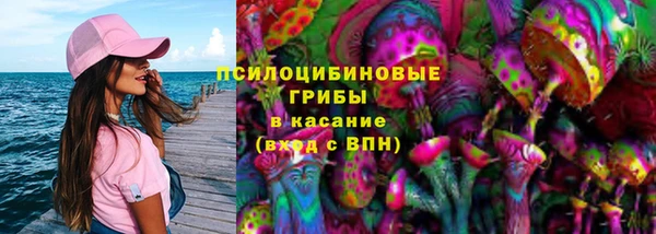 амф Верхний Тагил