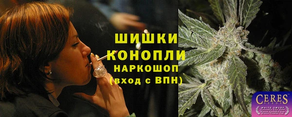 амф Верхний Тагил