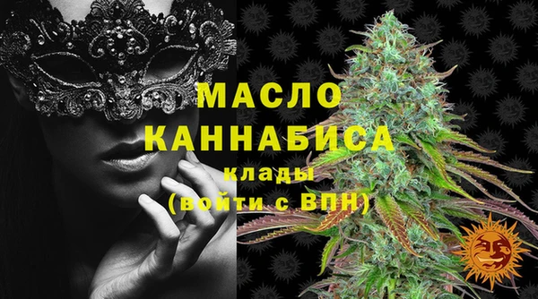 амф Верхний Тагил