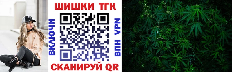 купить наркотики цена  Братск  Конопля Amnesia 